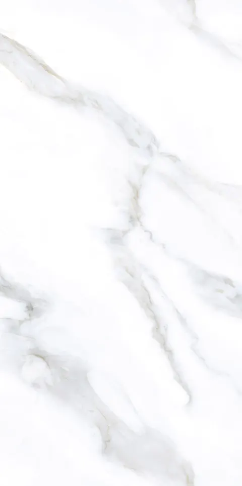 ROCCO WHITE TING view 5